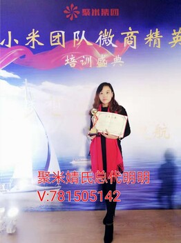 婧氏空气净化器怎么样？怎么卖？是不是过滤性的空气净化器？