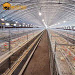 鑫光正牧业肉鸡笼养蛋鸡笼养禽养殖EPC项目