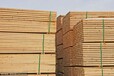 天津进口檀木木材正规操作流程