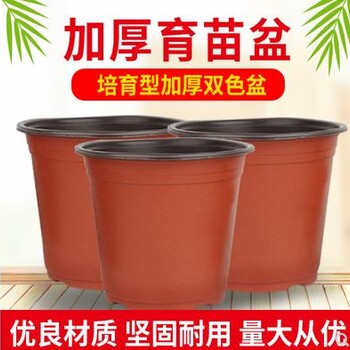 厂家双色塑料花盆PP双色花盆育苗盆营养钵绿植园艺多肉盆耐摔