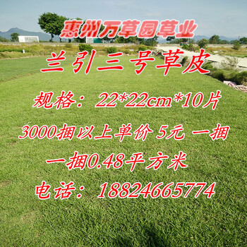 深圳萬(wàn)草園蘭引三3號(hào)草皮批發(fā)行業(yè)
