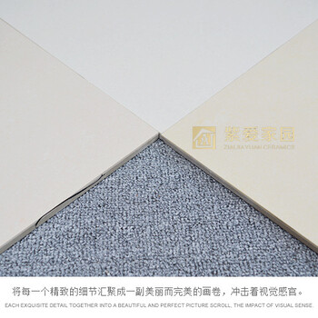 佛山陶瓷厂家供应600X600系列优等抛光砖