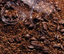 广州咖啡粉越南进口的资料