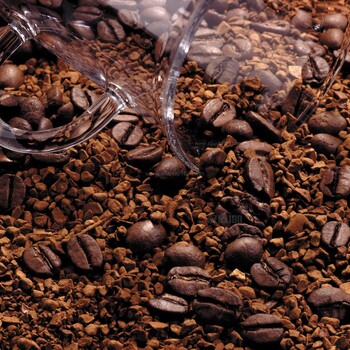 广州黄埔美国咖啡豆进口流程