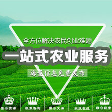 返乡创业加盟新型职业快速致富图片