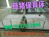 厂家出售断奶小猪高床仔猪保育床优质保育床保育床好处