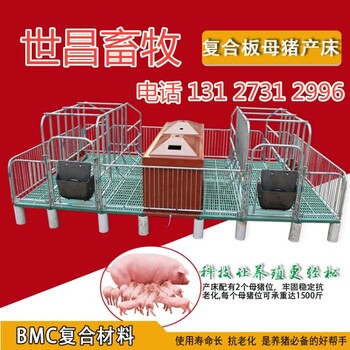 世昌厂家双体母猪产床规格分娩母猪产子栏高床单体母猪产床