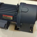 廈門東歷電機(jī)、廈門東歷減速電機(jī)