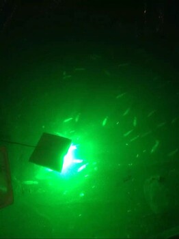 水下集鱼灯