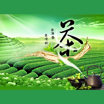 山东茶叶推广渠道有哪些？联系谁？