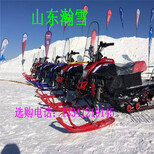 信用是你的抵押雪地滚筒雪地卡丁车图片5