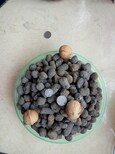 抚宁陶粒在哪买建筑陶粒型号1-3cm图片5