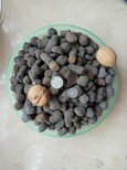 抚宁陶粒在哪买建筑陶粒型号1-3cm图片4