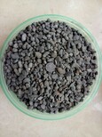 抚宁陶粒在哪买建筑陶粒型号1-3cm图片2