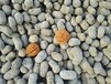 陶粒厂家，临汾陶粒136-7554-1106临汾回填陶粒销售