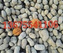 神農架陶粒，建筑陶粒136-7554-1106神農架林園陶粒銷售圖片