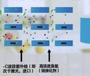 供应工业高浓度有机废气处理设备低温等离子废气净化设备图片