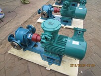 泊头沥青泵/WZYB29外润滑保温泵/合金齿轮泵/高温泵/耐酸泵图片4