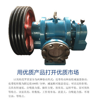 供应输送高粘度介质罗茨泵CB20高粘度齿轮泵食品高粘度转子泵