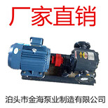 泊头沥青泵/WZYB29外润滑保温泵/合金齿轮泵/高温泵/耐酸泵图片2