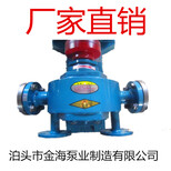 泊头沥青泵/WZYB29外润滑保温泵/合金齿轮泵/高温泵/耐酸泵图片1