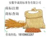 申请注册商标，申请注册专利，登记著作权有什么流程区别