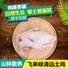 广东天农优品-国宴品牌清远鸡广东特产正宗清远鸡