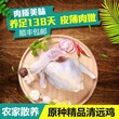 广州天农清远麻鸡-清远初生蛋凤须土鸡