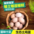 广州天农优品-原种精品清远鸡蛋做法大全图片