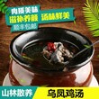 广东天农食品有限公司广东特产清远麻鸡清远鸡养殖图片