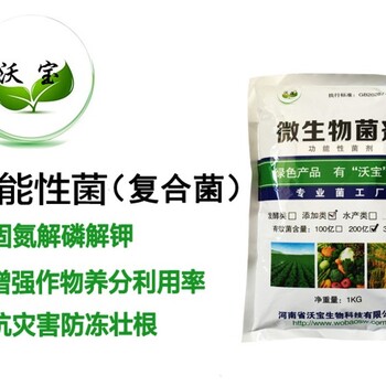 功能菌劑固氮解磷解鉀菌
