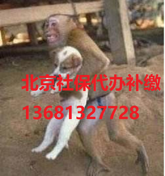 社保开户朝阳区怎么办？？？1368132七728