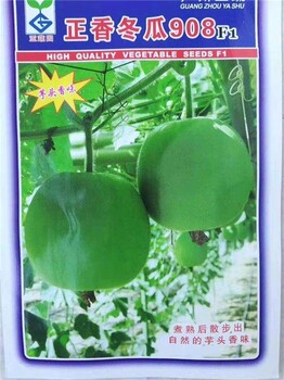 衢州供应香芋冬瓜种子价格