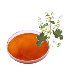 饲料添加博落回提取物血根碱博落回总碱图片