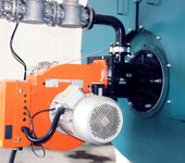天津锅炉改低氮燃烧器安装