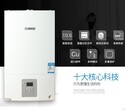 天津博世新欧洲之星国产(24kw)采暖热水两用壁挂炉经销商图片