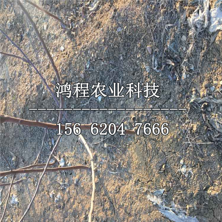 永定区经济总量_龙岩市永定区地图(3)