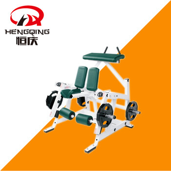 恒庆大型商用健身器材HQ-3025立姿单屈腿训练器健身美体