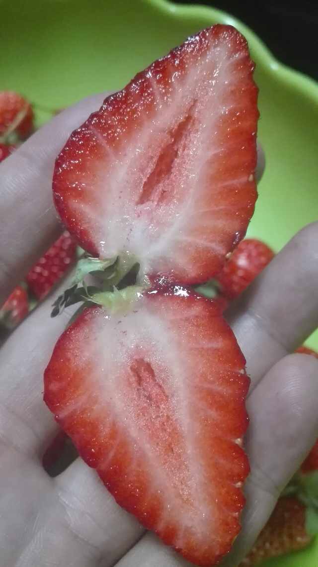潜江全明星草莓苗一年结几次果全.