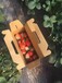 枥女草莓苗一亩地栽多少棵枥女草莓苗基地