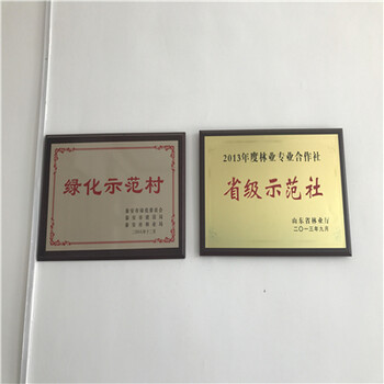 桃樹實生苗一棵多少錢、桃樹實生苗價格行情