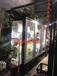 中意创展---重庆渝北展示柜风冷鲜花店双门三门商用冷藏冷柜