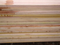 山樟木定尺定寸生产板材供应图片2
