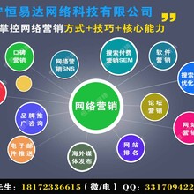 专业网站优化排名_seo优化排名图片(2)