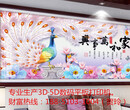 南京绘雅亚克力uv平板打印机，手机壳打印机，背景墙打印机