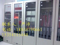 湖州市安全工具柜智能排风工具柜恒温智能工具柜图片2