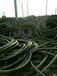 乐山电缆回收，今天乐山电缆回收价格及介绍