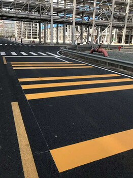 福田汽车站有划线公司吗，交通道路设施工程，街道人行线图片大全