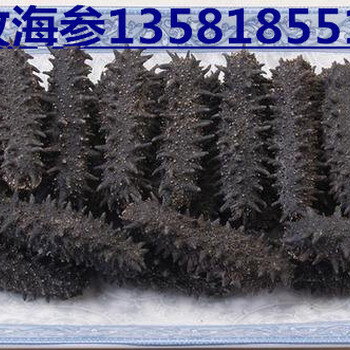 海參回收價格淡干海參海參