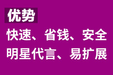 网站设计，网站优化，网站制作图片3